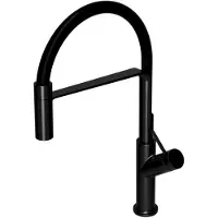 Omnires Vita - Keukenkraan met flexibele arm, zwart VI6350BLBL