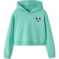 Name it Sweatshirt 'NKFTARA' mintgroen / rosa / zwart / wit
