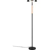 TRIO Led Vloerlamp Celeste Smoke Glas