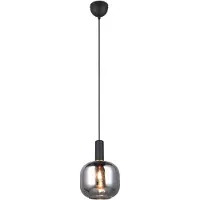 TRIO LED Hanglamp | Diva | Rond | Zwart | IP20 | Lighting