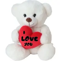 Take Me Home pluche beer wit met rood hart Valentijn Bedrukt met tekst "I love you" 21cm