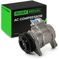 RIDEX 447K0380R Aircopomp