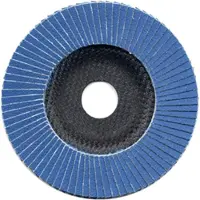 Rotec SafeProtex lamellenschijven 125x22.23 mm Korrel 80 - 10 stuks - 7990235