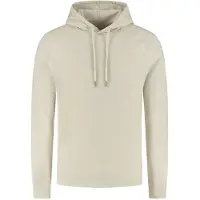 Dstrezzed Sweatshirt 'Damien' lichtgrijs
