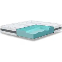 11.11 SRLS Orthopedisch Matras 170x190 cm Medium Stevigheid | Hoogte 16 cm 170x190 cm