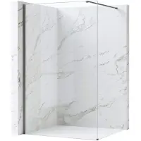 REA Walk-in Douchewand Flexi Transparent / Titan 70