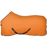 Harry's Horse Harrys Horse Fleecedeken Colors - Oranje_165 cm