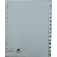 Exacompta Tabbladen met bedrukte tabs in gerecycled PP - 15 tabs - 1 tot 15 - A4 - Grijs - 1715E