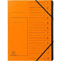 Exacompta 541204E, Project folder, A4, Karton, Oranje, 355 g/m², Elastische band