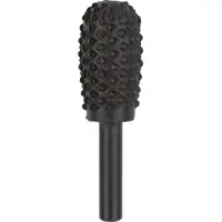 Bosch Houtrasp en -vijlen 6 x 16 mm 1st - 2609200198