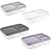 Hobby Life Lunchbox Set – 4 Kleuren, 3 Vakjes, Grote Rechthoekige Opbergdoos