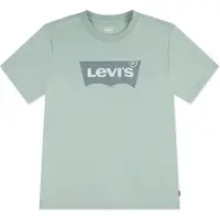 Levi's T-shirt BATWING TEE kind 12 jaar