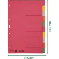 Leitz - 4359 Register A4 Karton - Meerdere kleuren - 10 tabbladen