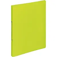 Pagna ringbinder A4 16mm PP 2-Ring-Mechanik lindgrün