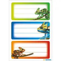 Herma Boeketiketten Gekko - 10 stuks