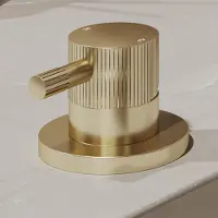 Saniclear Brass Stripes hendel voor Bond wastafelkraan (SK111643)