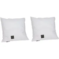 Vente-unique Set van 2 hoofdkussens JEAN LOUIS SHERRER met vormgeheugen 60 x 60 cm SELENE