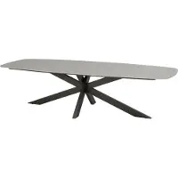 4SO Prado dining tuintafel 300x110xH75 cm terre met keramisch deens ovaal blad