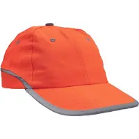 Cerva Pet oranje met reflectieband.