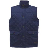 Regatta Heren Tyler Mouwloze Bodywarmer/Gilet (Marine)