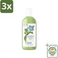 Dove 3 x Powered by Plants - Oil Body Wash - Eucalyptus - 250 ml - Grootverpakking - Natuurlijke Verzorging - Eucalyptus - Olie - Lichaamsschoonmaak - Hydraterende Douche