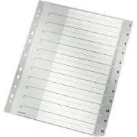 Leitz Tabbladen 1282 A4+ Grijs 12 tabs Geperforeerd Polypropyleen 1 tot 12