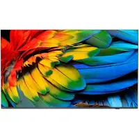 Philips 65HFL6214U - 65" diagonale klasse Professional MediaSuite led-achtergrondverlichting lcd-tv - gezondheidszorg/hotel - Smart TV - Android TV - 4K UHD (2160p) 3840 x 2160 - antraciet grijs