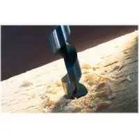 Bosch 14x160x235 Mm Salomonische Houtboor