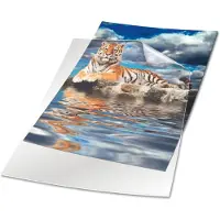 Durable 2339 sheet protector 210 x 297 mm (A4) PVC 50 stuk(s)
