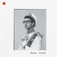 Bleachers - Gone Now (Gold Paillete Coloured) (Reissue) (180 g) (LP)