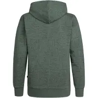 Petrol Industries Sweatshirt 'Blue Ridge' groen