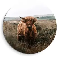 KitchenArt - Hooglander in de herfstweide – Muurcirkel Binnen - ø 100 cm - Wandcirkel - Mét Ophangsysteem - Wanddecoratie - Muurdecoratie