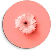 KitchenArt - Coral Gerbera – Muurcirkel Binnen - ø 100 cm - Wandcirkel - Mét Ophangsysteem - Wanddecoratie - Muurdecoratie