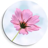 KitchenArt - Sky Blossom – Muurcirkel Binnen - ø 80 cm - Wandcirkel - Mét Ophangsysteem - Wanddecoratie - Muurdecoratie