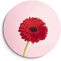 KitchenArt - Rode Gerbera – Muurcirkel Binnen - ø 80 cm - Wandcirkel - Mét Ophangsysteem - Wanddecoratie - Muurdecoratie