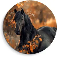 KitchenArt - Autumn Majesty - Muurcirkel Binnen - ø 80 cm - Wandcirkel - Mét Ophangsysteem - Wanddecoratie - Muurdecoratie