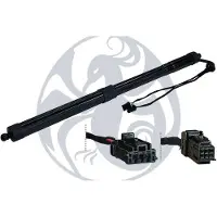 Max ECT100-R Gasveer achterklep