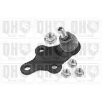 Quinton Hazell QSJ3954S Fuseekogel