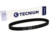Tecnium Elitegrip Aus24-11 Transmissie Riem