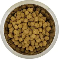 Yourdog chien français blanc et orange senior - 12 kg - Hondenvoer