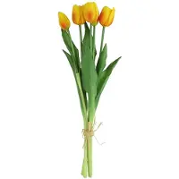 Countryfield Tulipa Boeket - Tulpen - Geel/Oranje - 40 cm
