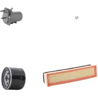 RIDEX 4055F10948 Filterset