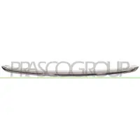 PRASCO MN3102205 Sier- / Beschermingspaneel, radiateurgrille