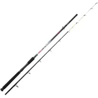 Sunset Girelle Sw Bottom Shipping Rod Zilver 2.40 m / 60-120 g