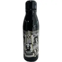 CLD Distribution S.A. Harry Potter - De Ochtendprofeet Metalen Waterfles 600ml