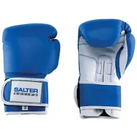 Salter 10oz Combat Gloves Blauw