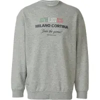 s.Oliver Sweatshirt lichtgrijs / groen / knalrood / wit