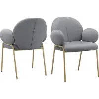 Loft 24 Iwama-Eetkamerstoel - Set van 2 - Grijs Fluweel