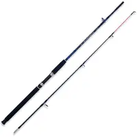 LINEAEFFE Caspian Pro Spinning Rod Zilver 2.40 m / 250 g
