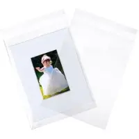 Packlinq Plastic Zakken 23,4x32,5cmTransparant en Hersluitbaar (100 stuks) | Plastic zak